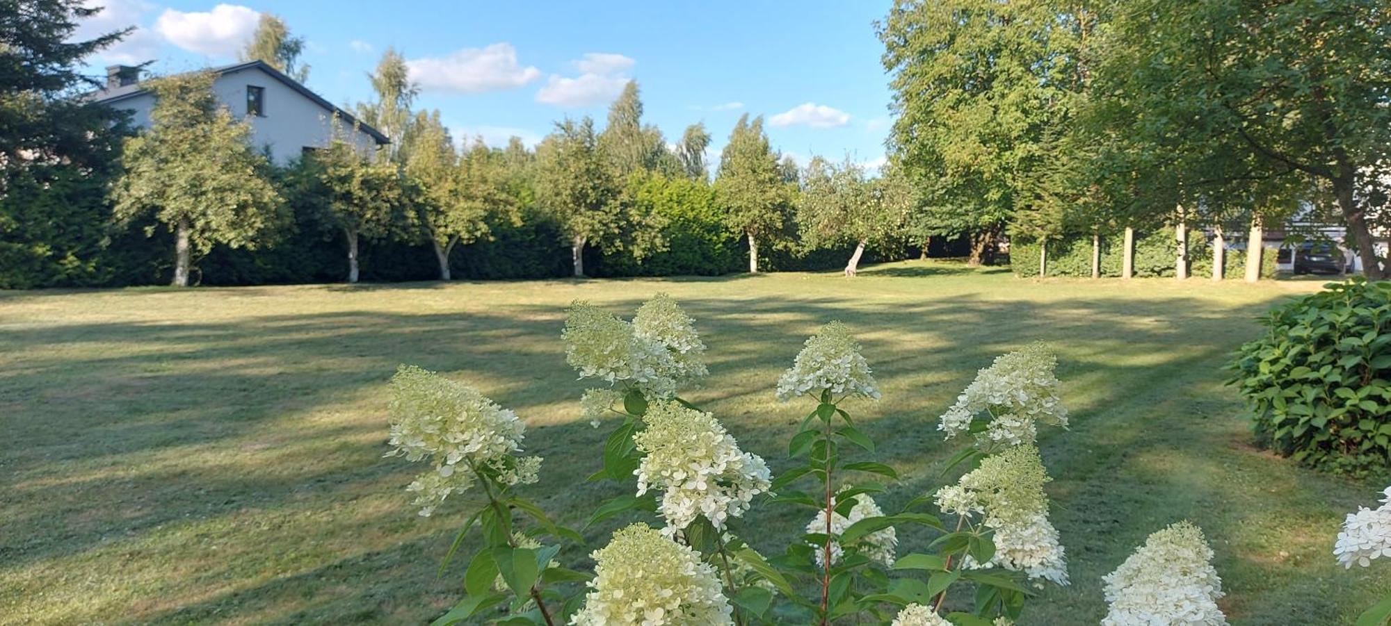 Pokoje Goscinne Stokrotka Nałęczów Exterior foto