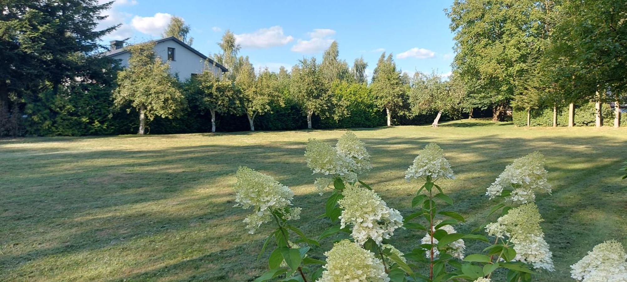 Pokoje Goscinne Stokrotka Nałęczów Exterior foto