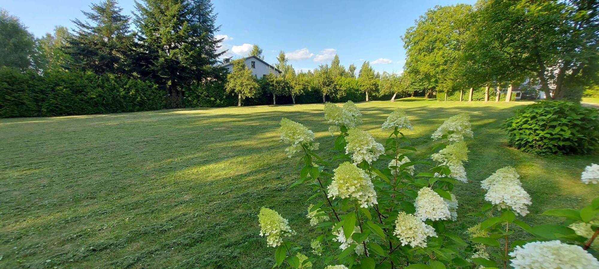 Pokoje Goscinne Stokrotka Nałęczów Exterior foto
